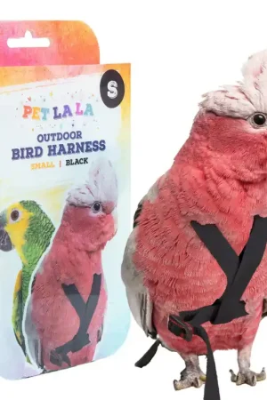 Favoriet Petlala Vogeltuigje Small - 165 cm Zwart