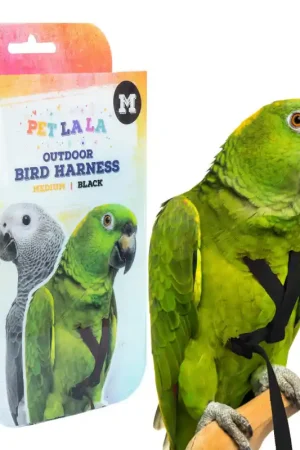 Gecertificeerd Petlala Vogeltuigje Medium - 175 cm Zwart