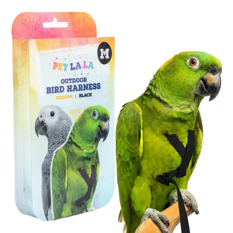 Gecertificeerd Petlala Vogeltuigje Medium - 175 cm Zwart