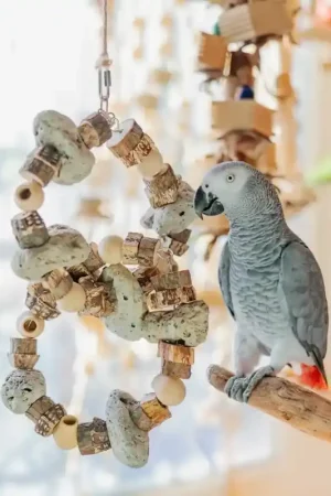 Quapas! Vogelspeelgoed Dubbel-Oos Premium