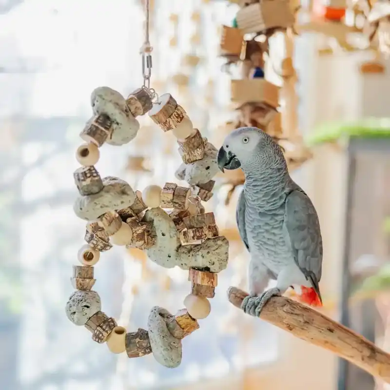 Quapas! Vogelspeelgoed Dubbel-Oos Premium