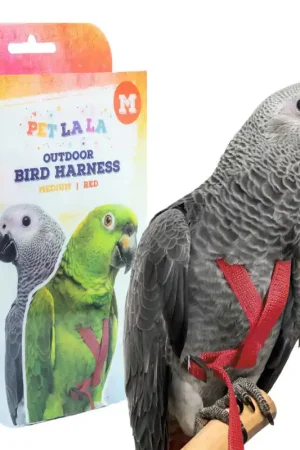 Superprijs Petlala Vogeltuigje Medium - 175 cm Rood