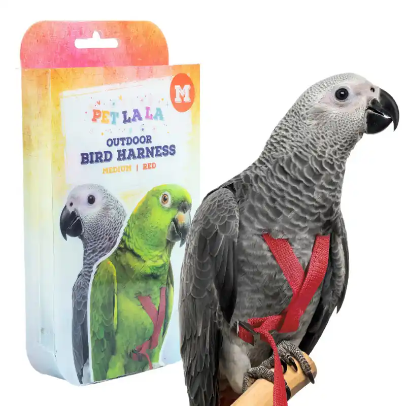 Superprijs Petlala Vogeltuigje Medium - 175 cm Rood