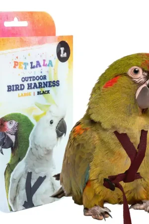 Must-Have Petlala Vogeltuigje Large - 195 cm Zwart