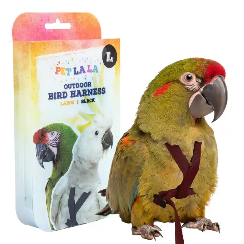Must-Have Petlala Vogeltuigje Large - 195 cm Zwart