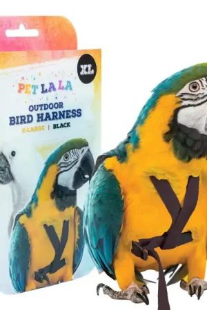 Petlala Vogeltuigje X-Large - 210 cm Zwart Tijdelijk Beschikbaar