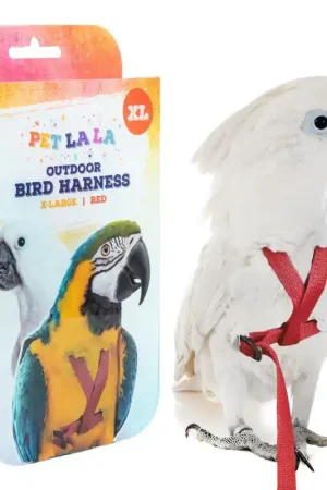 Petlala Vogeltuigje X-Large - 210 cm Rood Gereduceerde Prijs