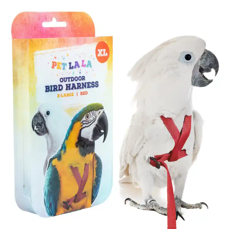 Petlala Vogeltuigje X-Large - 210 cm Rood Gereduceerde Prijs