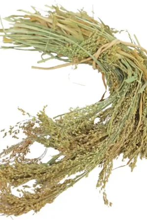 JR Farm Parelgierst 100 gram Betrouwbaar