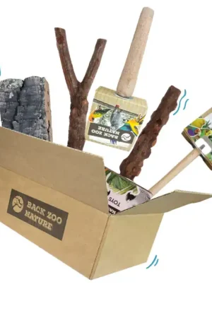 Must-Have Vogel Zitstokken Pakket Small