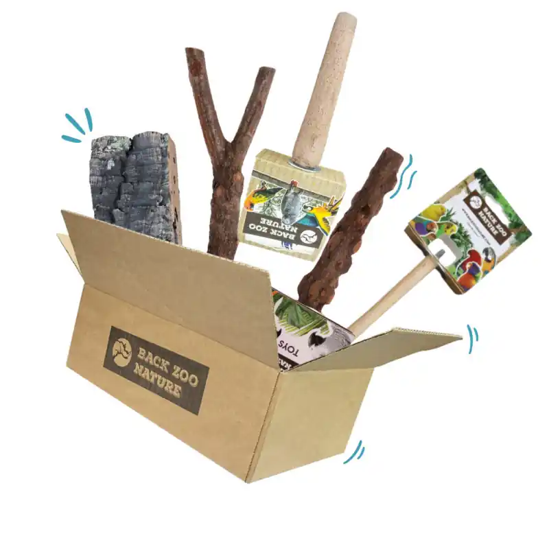 Must-Have Vogel Zitstokken Pakket Small