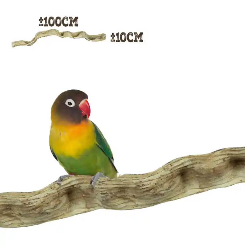 Betaalbaar Back Zoo Nature Band Liana 100cm