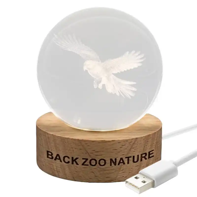 Back Zoo Nature Lichtbol Papegaai Superprijs