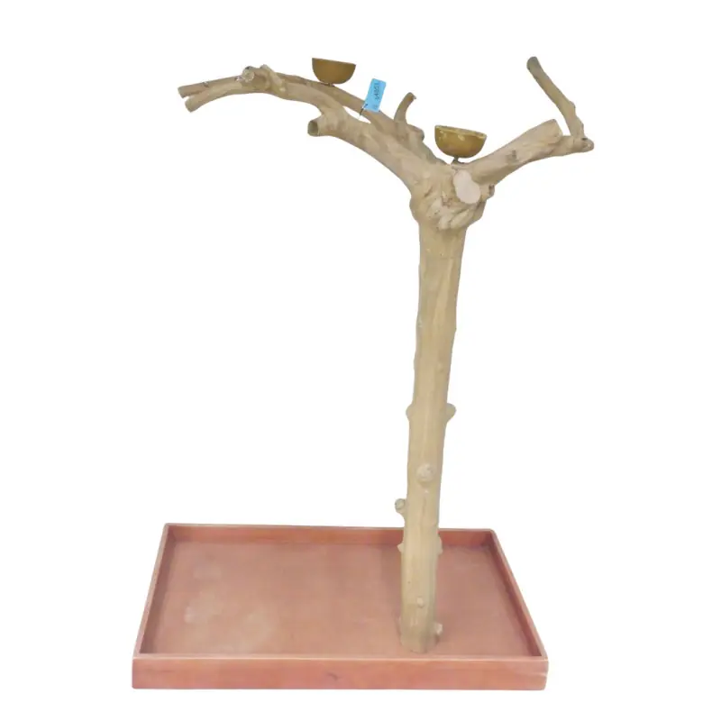 Back Zoo Nature Premium Javaboom - BL64851 Aanbieding
