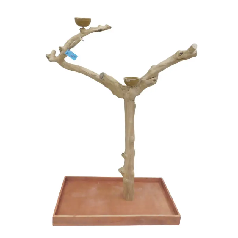 Speciale Aanbieding Back Zoo Nature Premium Javaboom - BL64874