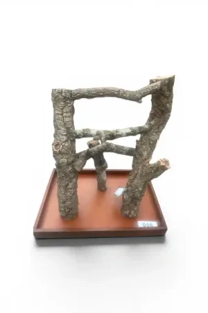 Back Zoo Nature Corky Playstand Small 008 Betaalbaar