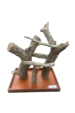 Snelle Levering Back Zoo Nature Corky Playstand Small 007