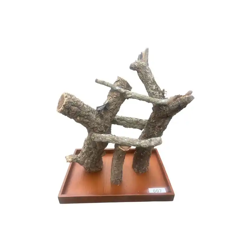 Snelle Levering Back Zoo Nature Corky Playstand Small 007