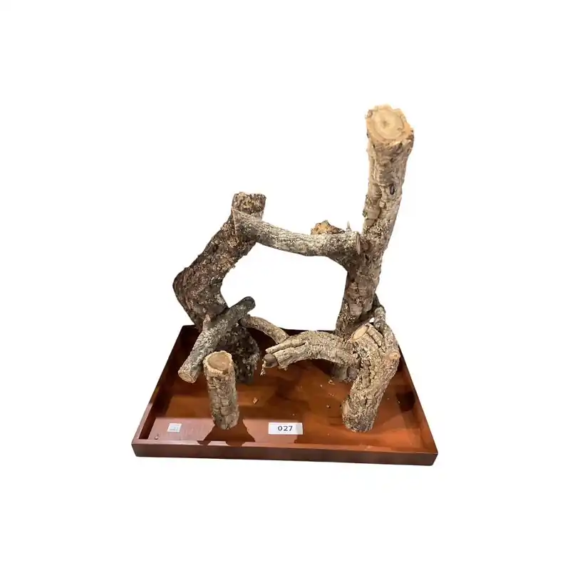 Must-Have Back Zoo Nature Corky Playstand Large 027