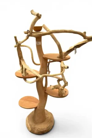 Must-Have Back Zoo Nature Robin Fantasy Tree Medium RD009