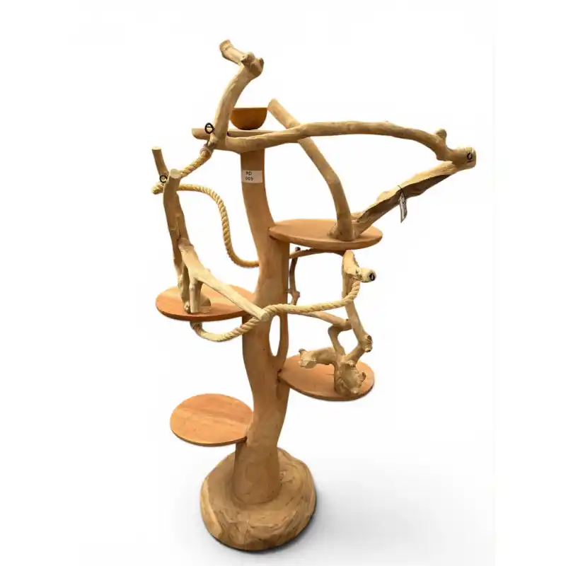 Must-Have Back Zoo Nature Robin Fantasy Tree Medium RD009