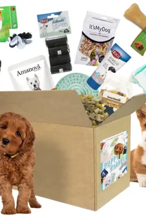 Avonturia‘s Puppy Pakket Koop Vandaag