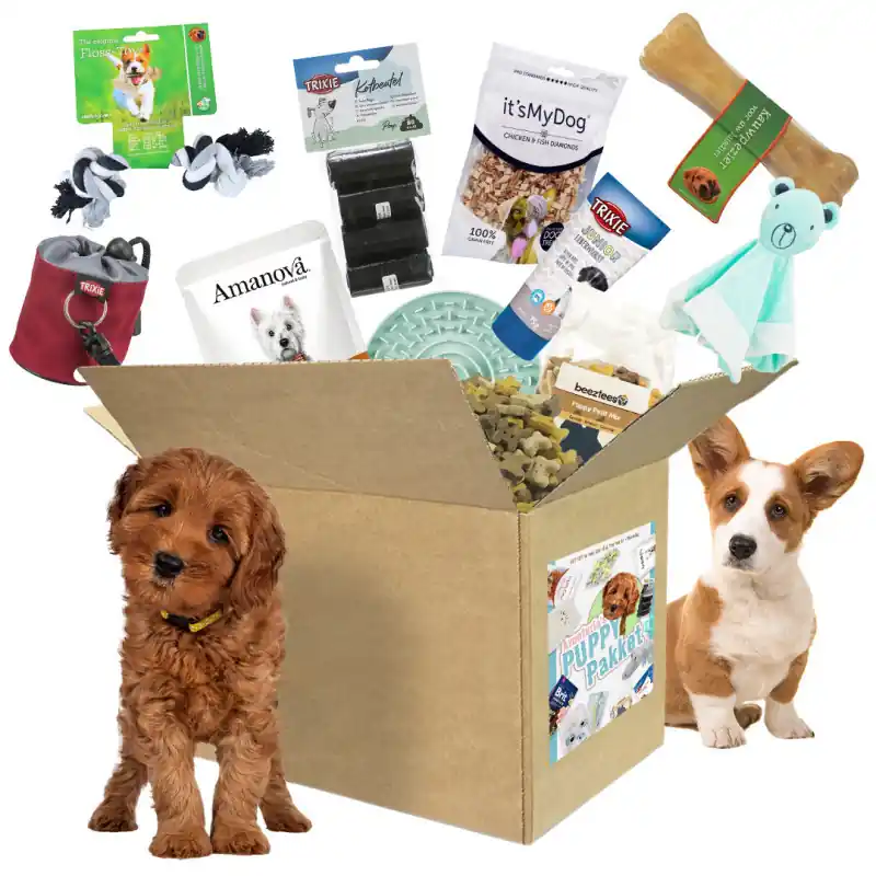 Avonturia‘s Puppy Pakket Koop Vandaag