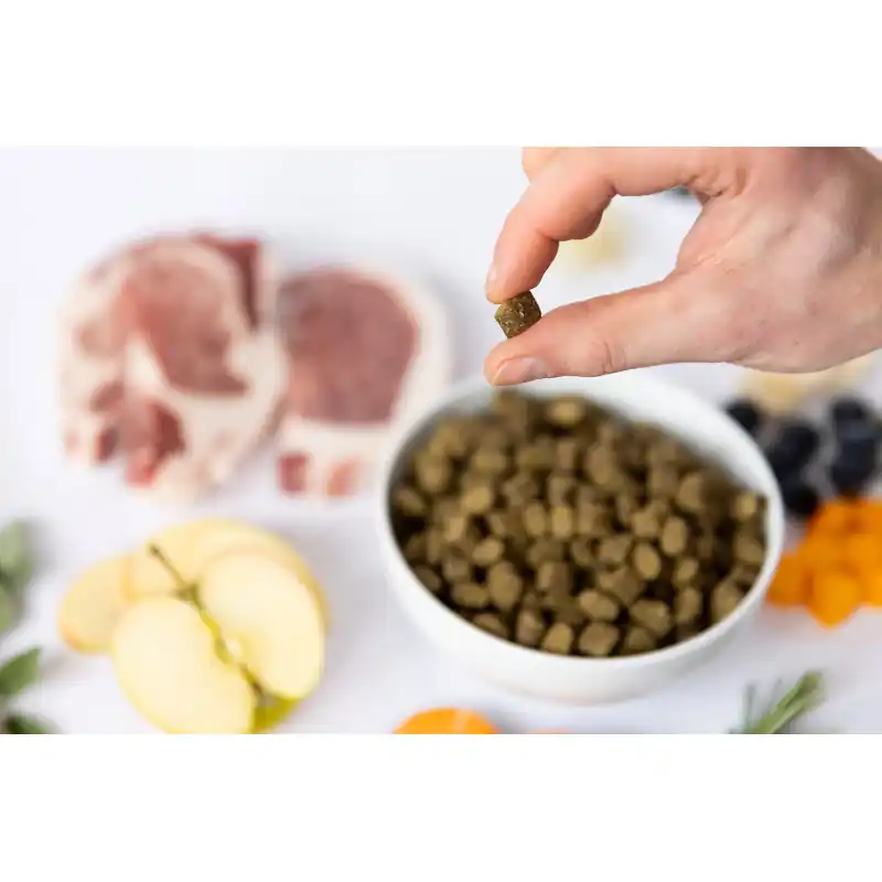 Lage Prijs YDOLO Hondenvoer Iberico Varken- Graanvrij & Hypoallergeen 2.5 kg