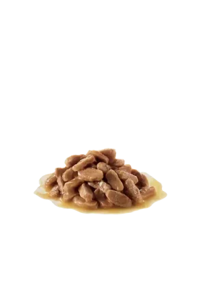 Koop Online Royal Canin Mini Puppy wet 85 gram