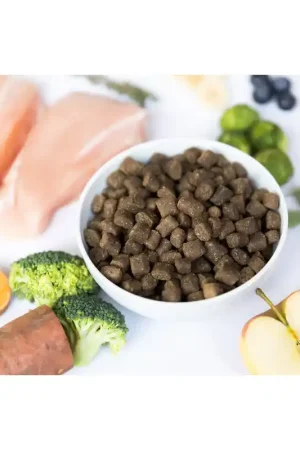 Exclusieve Aanbieding YDOLO Hondenvoer Kip - Graanvrij & Hypoallergeen 2.5 kg