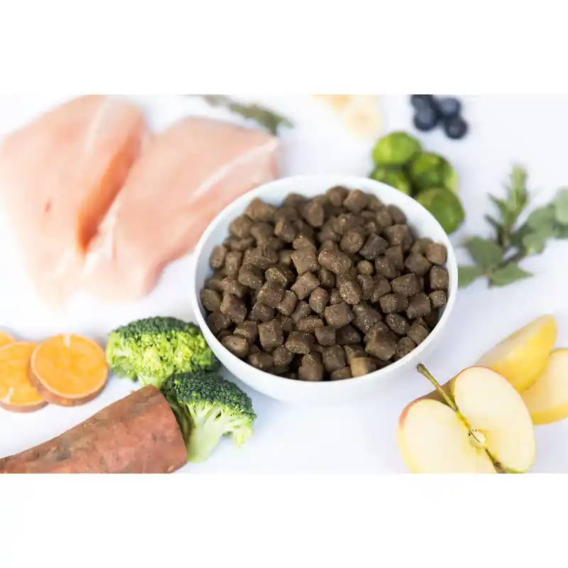 Exclusieve Aanbieding YDOLO Hondenvoer Kip - Graanvrij & Hypoallergeen 2.5 kg