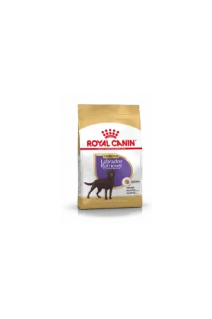Rechtstreeks Van De Fabrikant Royal Canin Labrador Retriever Sterilised Adult 12 kg