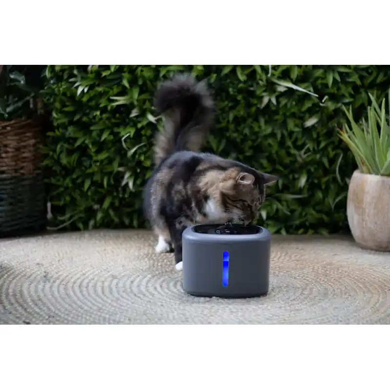 Tijdelijk Beschikbaar Boon Katten Waterfontein Aquabella - Antraciet