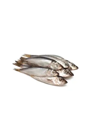 Lage Prijs Lamphen Sprot 100 gram