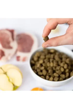 YDOLO Hondenvoer Iberico Varken- Graanvrij & Hypoallergeen 10 kg Laatste Kans