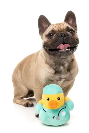 Rechtstreeks Van De Fabrikant FuzzYard Quackson Five - Ducktor