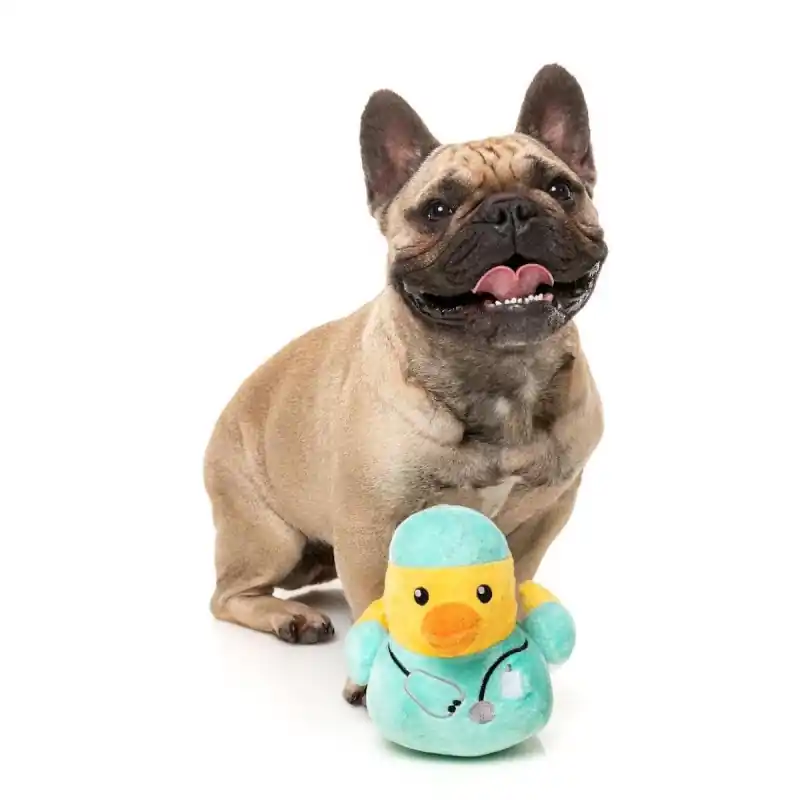 Rechtstreeks Van De Fabrikant FuzzYard Quackson Five - Ducktor