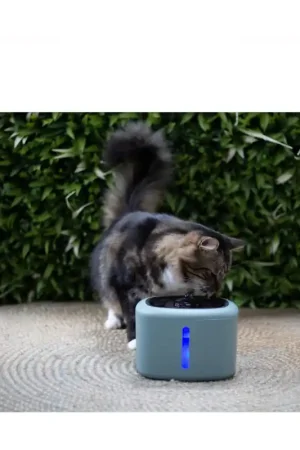 Alleen Vandaag Boon Katten Waterfontein Aquabella - Groen