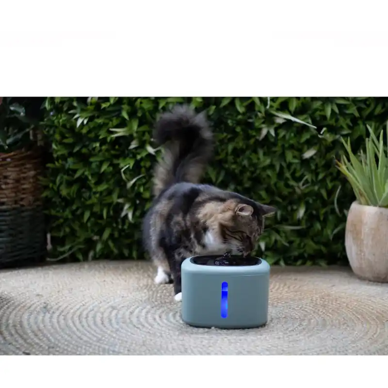 Alleen Vandaag Boon Katten Waterfontein Aquabella - Groen