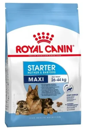 Koop Online Royal Canin Maxi Starter Mother & Babydog 15 kg