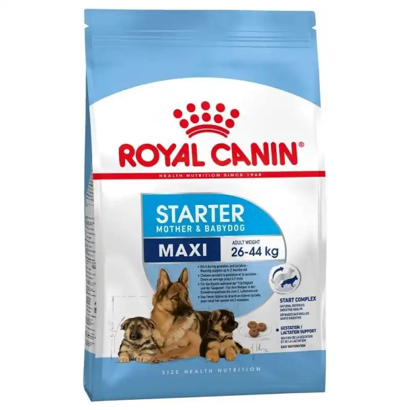 Koop Online Royal Canin Maxi Starter Mother & Babydog 15 kg