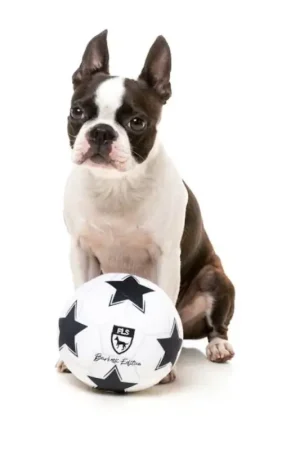 FuzzYard Plush - Voetbal 15cm Rechtstreeks Van De Fabrikant