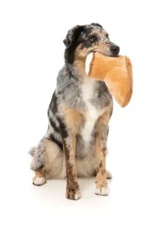 Merkproduct FuzzYard Plush - Dogg Boot 15cm