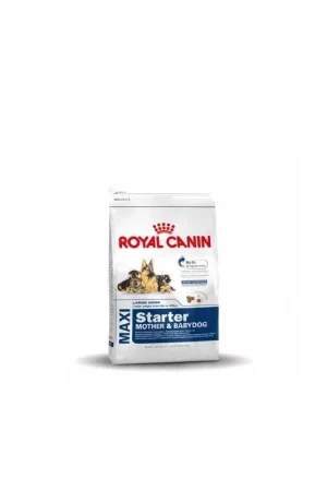 Royal Canin Maxi Starter Mother & Babydog 4 kg Gecertificeerd