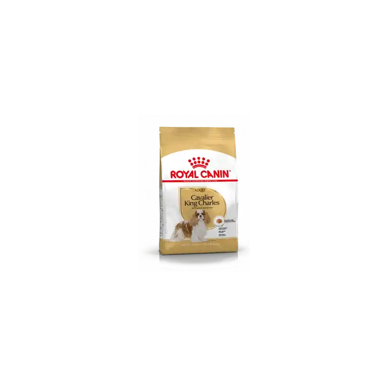 Royal Canin Cavalier King Charles Adult 3 kg Gratis Retour