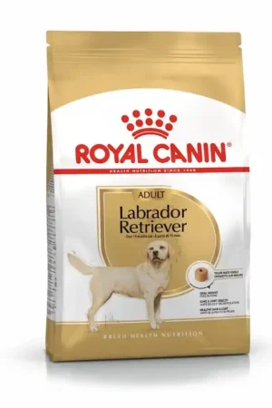Exclusieve Aanbieding Royal Canin Labrador Retriever Adult 3 kg
