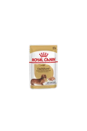Bestel Nu Royal Canin Dachshund Adult Wet 85 gram