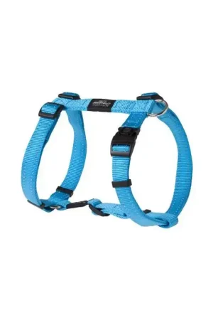 Meest Verkocht Rogz H Tuig Turquoise - Large