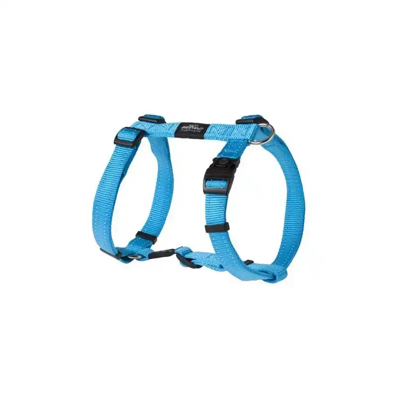 Meest Verkocht Rogz H Tuig Turquoise - Large