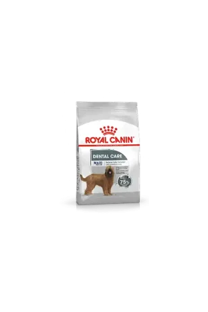 Royal Canin Maxi Dental Care 9 kg Speciale Aanbieding